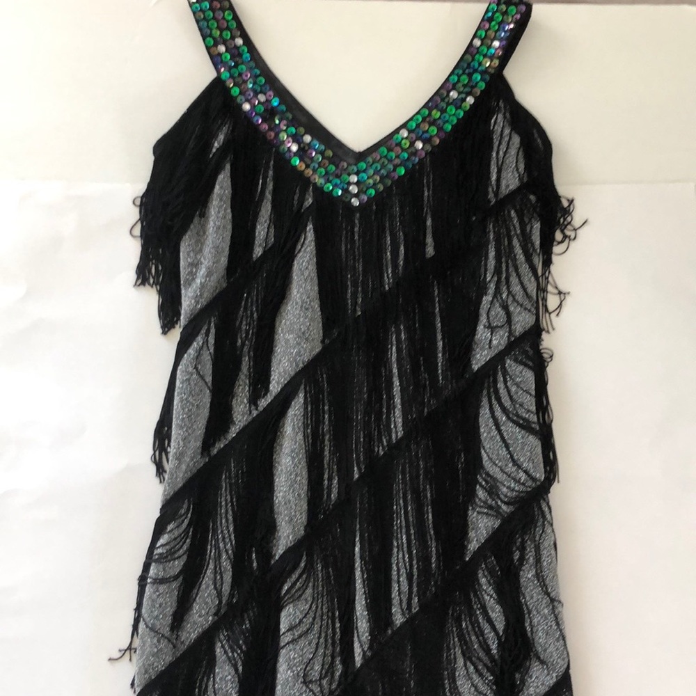 1920’s Gatsby Sequins Fringe Sway Flapper Dress